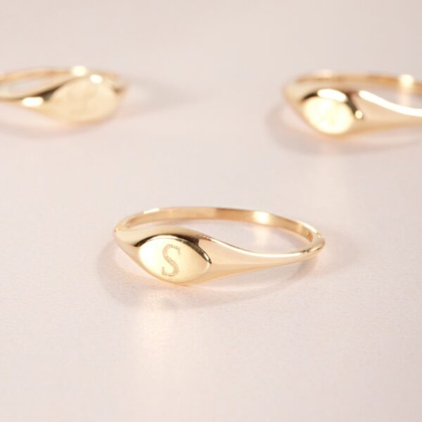 Dollhouse Signet Ring - Image 7