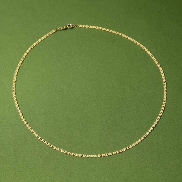 Flowering Gold Chain - Image 9